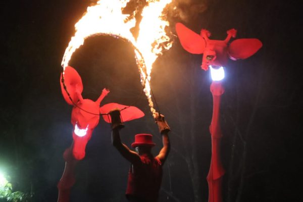 Les Girafes Guadalajara10