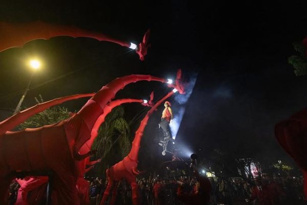 Les Girafes Guadalajara5